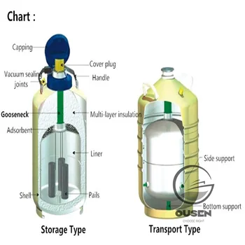 3/6/10/15 / 30L sıvı azot konteynerı kriyojenik Tank Dewar sıvı azot konteynerı ile Sıvı Azot Tankı YDS-10