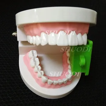 3 Adet Diş Otoklavlanabilir Ürünler Gösterim Tepsi Ağız Prop Gag (seçim için 3 boyutu) Otoklavlanabilir 121 derece Tepsi Diş Bite