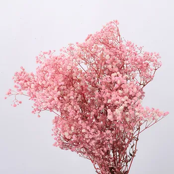 Doğal Taze Korunmuş Babysbreath Çiçek, gerçek Sonsuza Ekran Çiçek Buketi Düğün Noel Ev Dekor